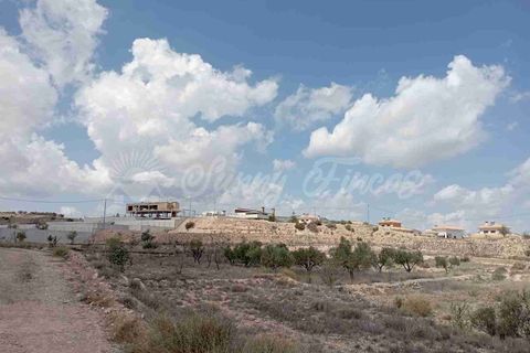Helårsgrund i Monovar, Alicante, Monovar - € 69.995 | Ref: SF0514 - foto 5